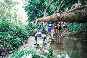 BIB: 
                            <button type="button" onclick="openModal(25460150)" class="btn btn-primary btn-sm float-right btn-popup" data-toggle="modal" data-target=".modal-high-quality">
                        <i class="fas fa-shopping-cart"></i> Add to Cart
                    </button>
                                            <button type="button" onclick="isThisMe(25460150, true)" class="btn btn-success btn-sm float-right btn-popup btn-isme hidden" data-toggle="tooltip" data-placement="bottom" title="นี่คือรูปของคุณใช่ไหม คลิกที่นี่เพื่อเอาเข้าอัลบั้ม">
                        <i class="fas fa-plus"></i> Add to album
                    </button>
                    <button type="button" onclick="isThisMe(25460150, false)" class="btn btn-warning btn-sm float-right btn-popup btn-isnotme hidden">
                        <i class="fas fa-ban"></i> Remove from album
                    </button>